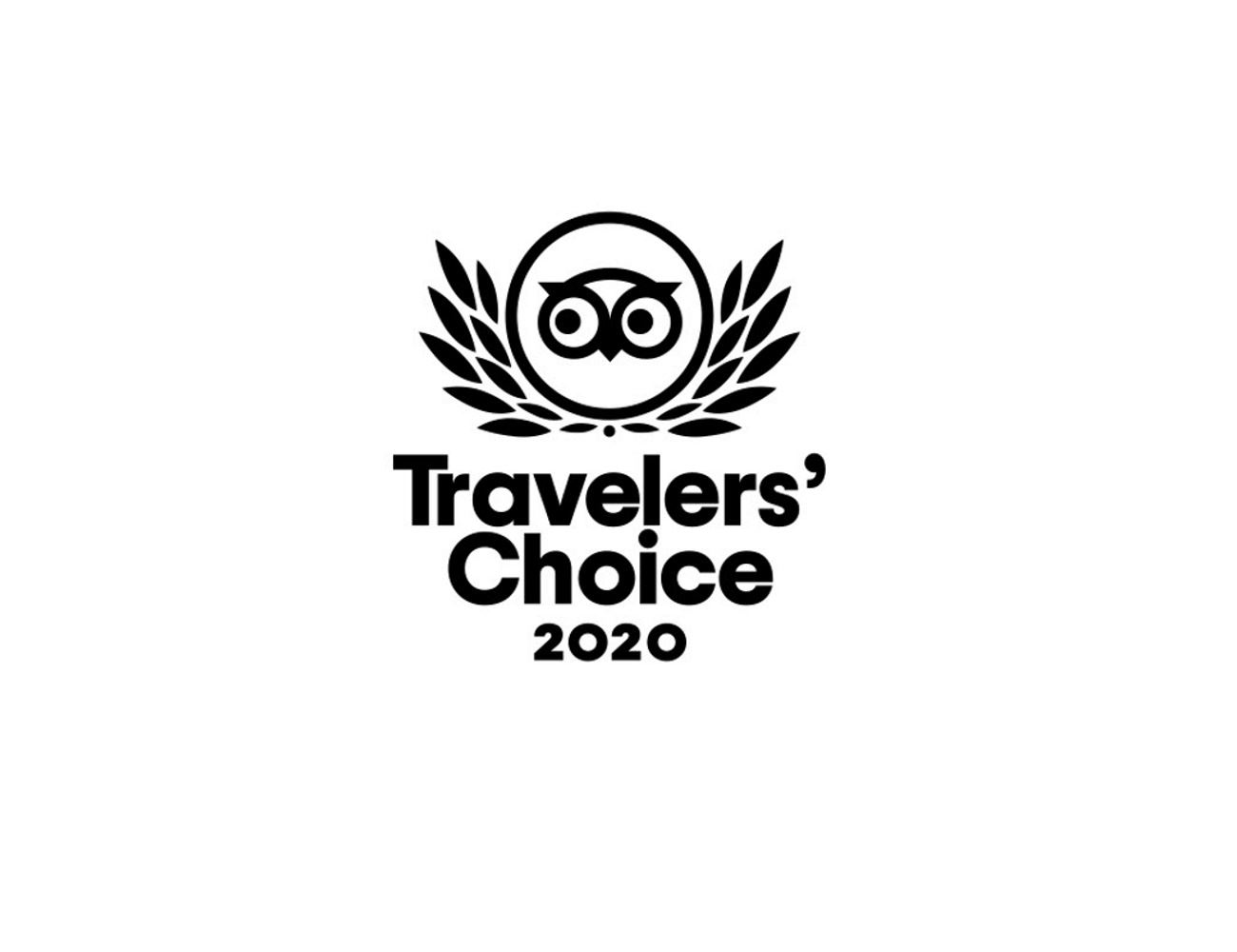 travelers-choice-award-2020-overview-image